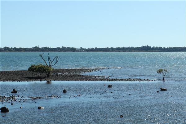 Cleveland Point (8/05/2023 - Credits: Screen Queensland)