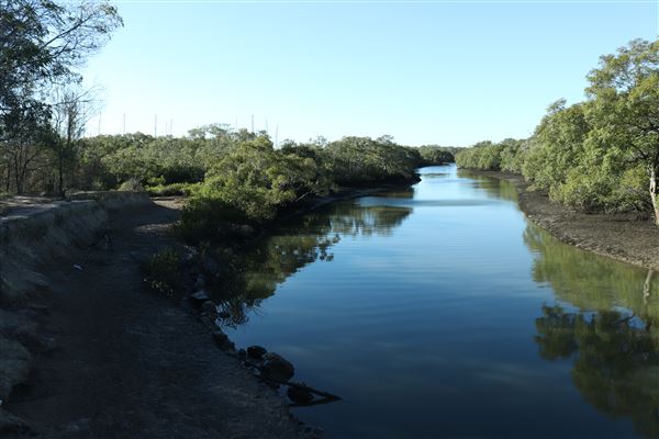 Epapah Creek - Karl's Pier track (8/05/2023 - Credits: Screen Queensland)