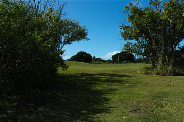 Curlew Park - Cabbage Tree Creek (11/05/2023 - Credits: Screen Queensland)