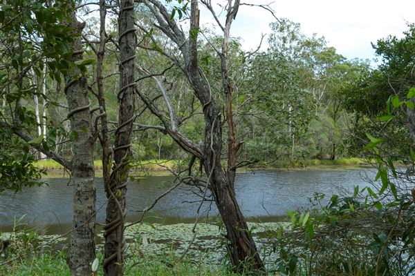 Enoggera Reservoir (12/05/2023 - Credits: Screen Queensland)