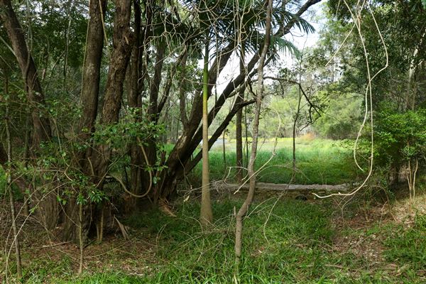 Enoggera Reservoir (12/05/2023 - Credits: Screen Queensland)