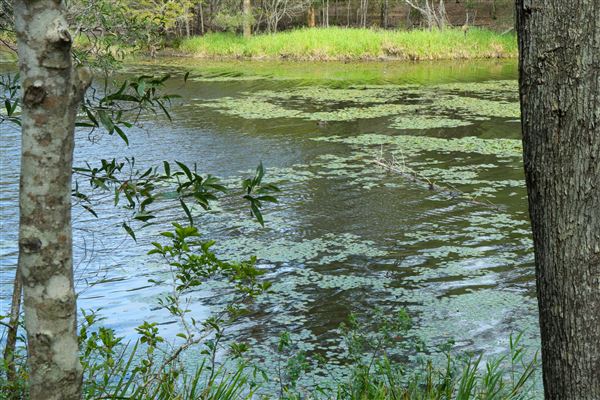 Enoggera Reservoir (12/05/2023 - Credits: Screen Queensland)