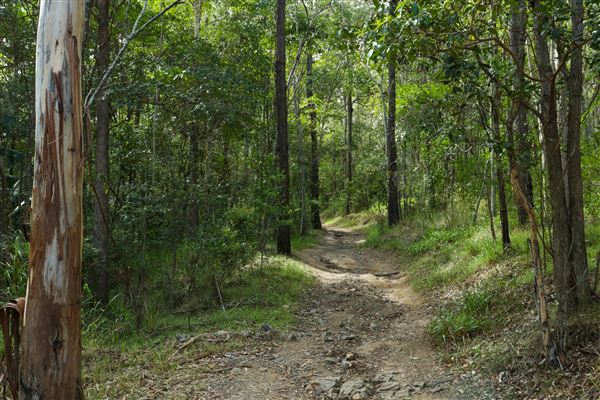Enoggera Reservoir (12/05/2023 - Credits: Screen Queensland)