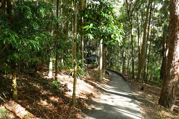 Enoggera Reservoir (12/05/2023 - Credits: Screen Queensland)