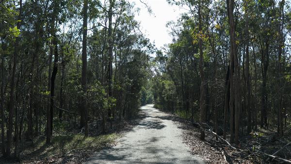 118 Green Camp Rd (31/05/2023 - Credits: Screen Queensland)