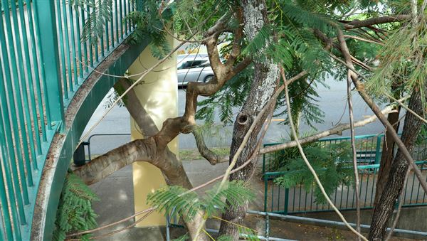 Taringa Central Pedestrian Bridge (7/06/2023 - Credits: Screen Queensland)