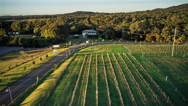 Sirromet Winery - Photographs provided by Sirromet Winery (12/06/2023 - Credits: Sirromet Winery)