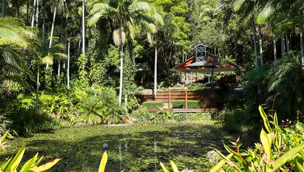 Rainforest Gardens (15/06/2023 - Credits: Screen Queensland)