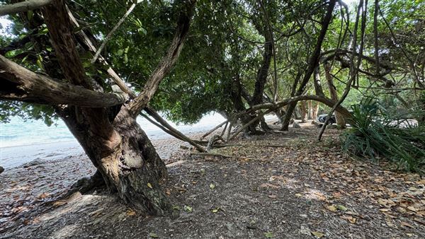 Garners Beach (26/11/2023 - Credits: Karen Jones / Tom Hoffie)
