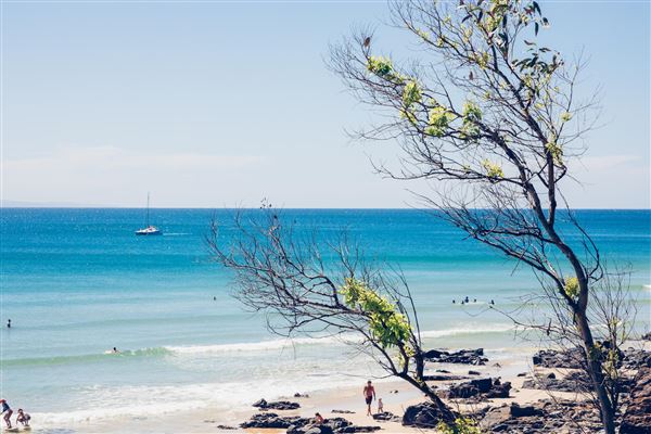 Noosa Beach - Little Cove (27/02/2025 - Credits: Andrew Maccoll)