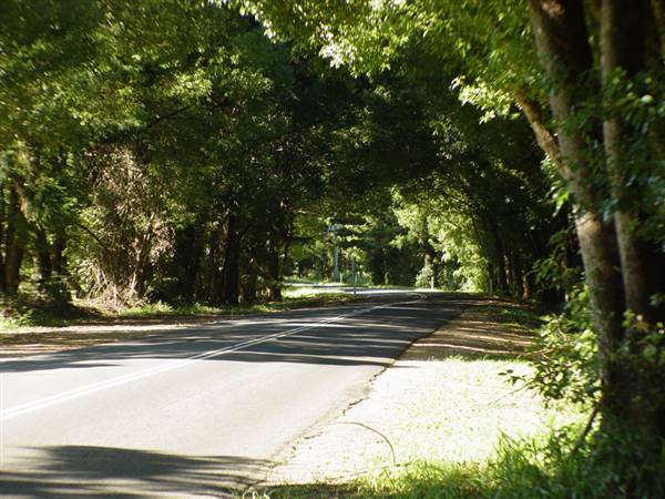 Currumbin Creek Road (23/08/2007)