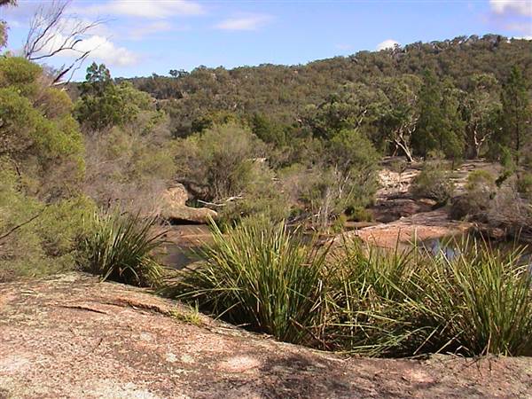 Warwick Region - Girraween National Park (25/09/2006)