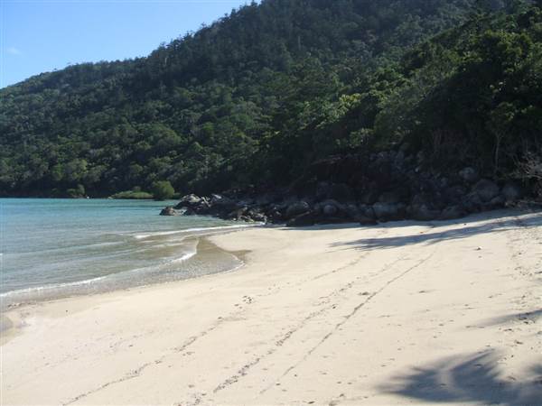 Hook Island (21/07/2009)