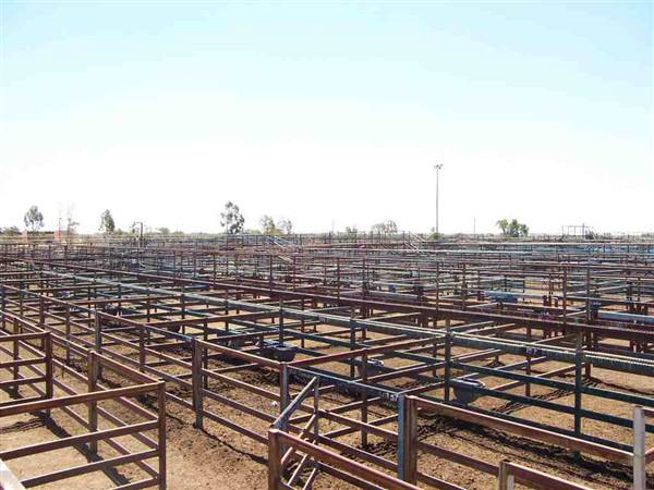 Longreach Township (26/09/2005)