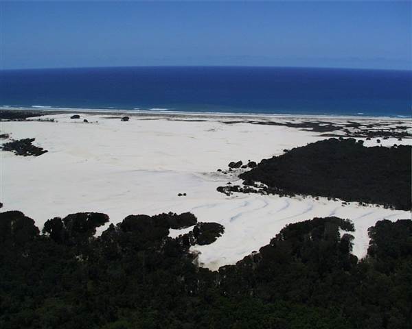 Mulgumpin (Moreton Island) (14/05/2009)