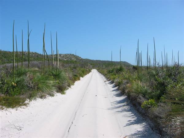 Mulgumpin (Moreton Island) (14/05/2009)