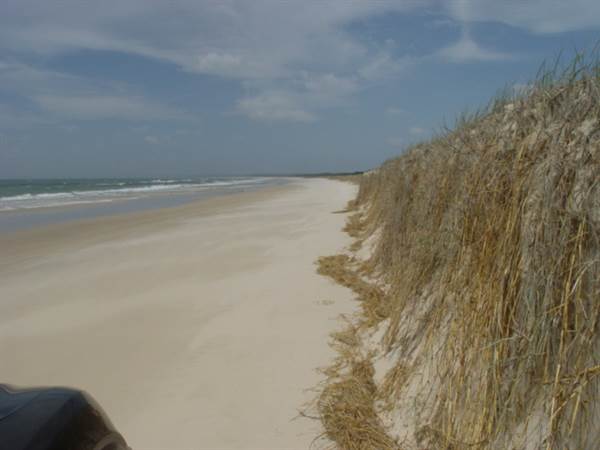 Mulgumpin (Moreton Island) (14/05/2009)