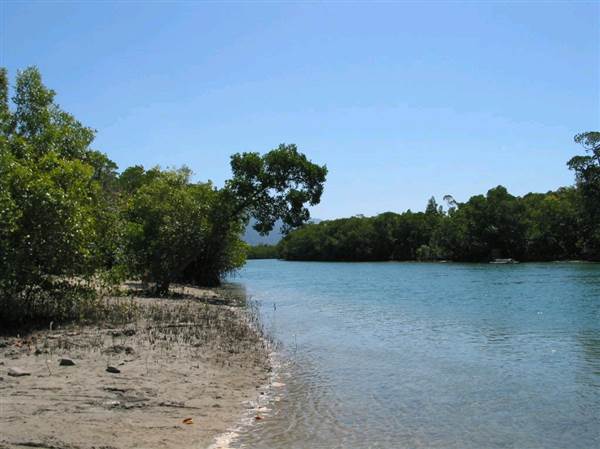 Mossman River Mouth (1/10/2007)