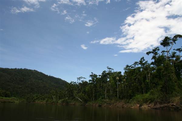 Mulgrave River (Cairns Region) (25/09/2007)