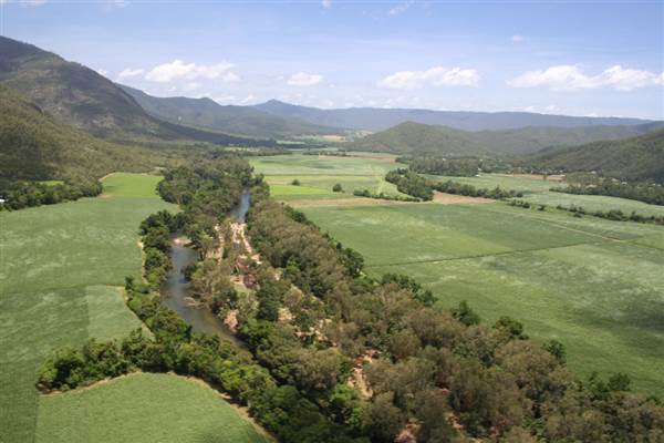 Mulgrave River (Cairns Region) (25/09/2007)