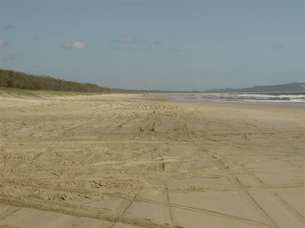 Noosa North Shore (17/01/2008)