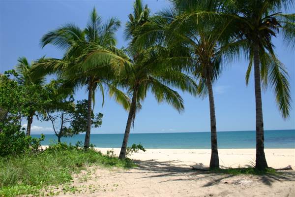 North Palm Cove to Ellis Beach (1/10/2007)