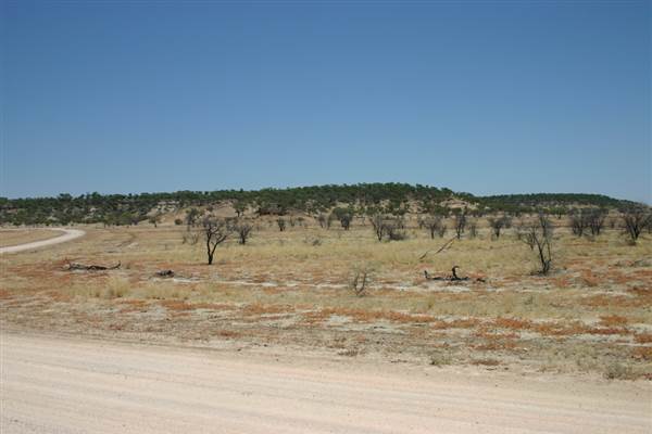 Rangelands Station (14/10/2005)