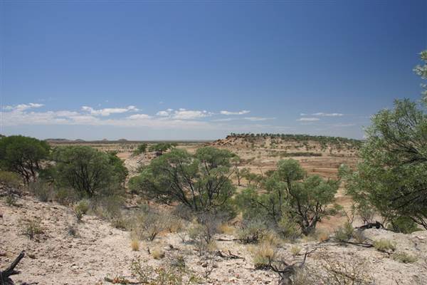 Rangelands Station (14/10/2005)