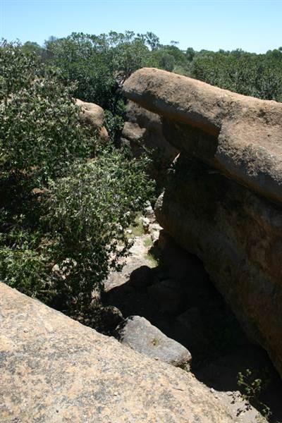 Rangelands Station (14/10/2005)
