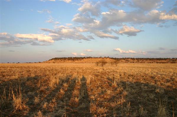 Rangelands Station (14/10/2005)
