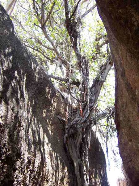 Rangelands Station (14/10/2005)