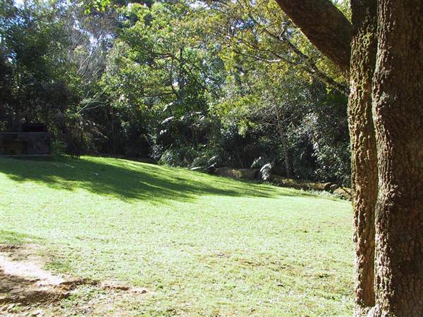 Springbrook National Park (26/09/2007)