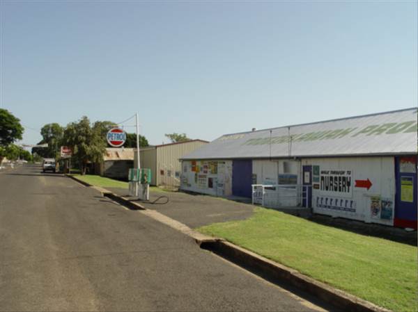Toogoolawah Township (28/01/2005)