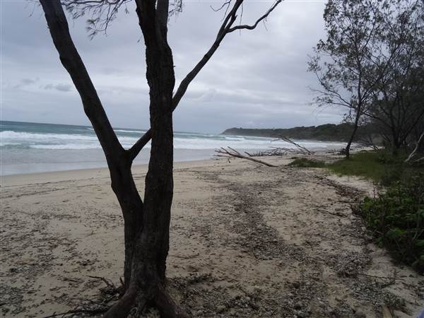 Minjeeribah (North Stradbroke Island) - Home Beach (1/02/2014 - Credits: Angus Ledgerwood)