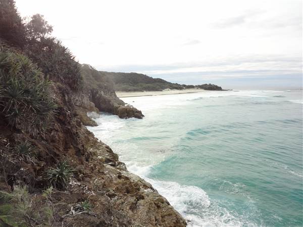 Gorge Walk, Point Lookout (3/02/2014 - Credits: Angus ledgerwood)