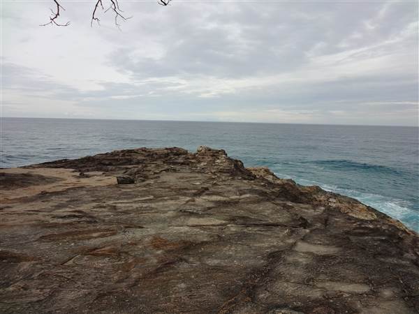 Gorge Walk, Point Lookout (3/02/2014)