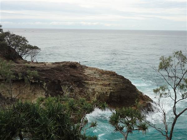 Gorge Walk, Point Lookout (3/02/2014)