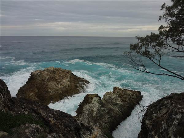 Gorge Walk, Point Lookout (3/02/2014)