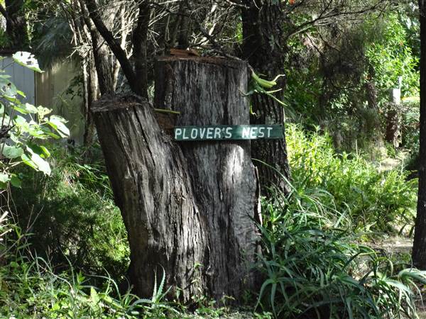 Coochiemudlo Island (4/02/2014)