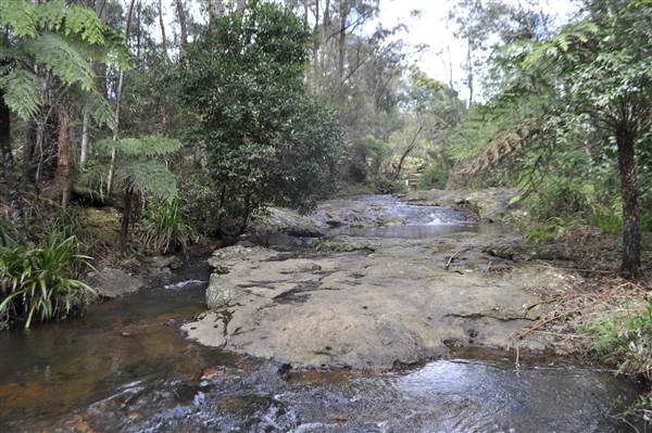 Purling Brook Falls - Springbrook National Park (6/02/2014)