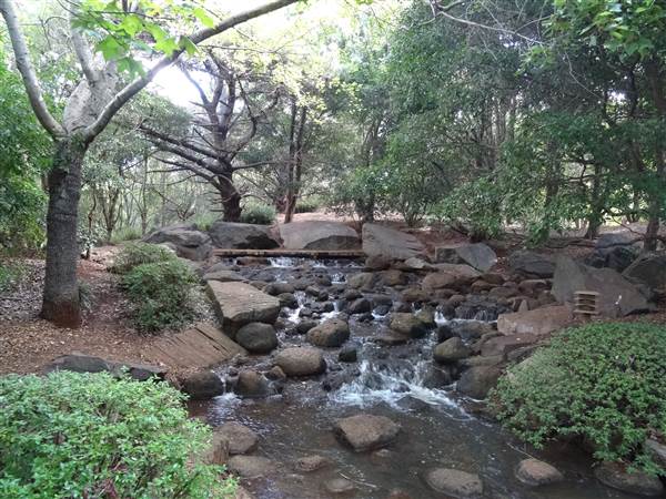 Japanese Garden - University of Southern Queensland (7/05/2014)
