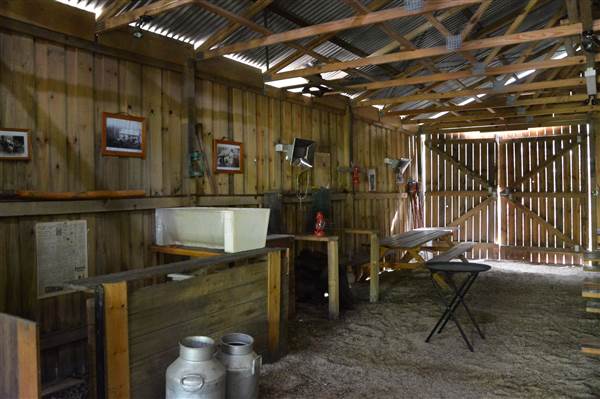 O'Reillys Rainforest Retreat (19/05/2014)