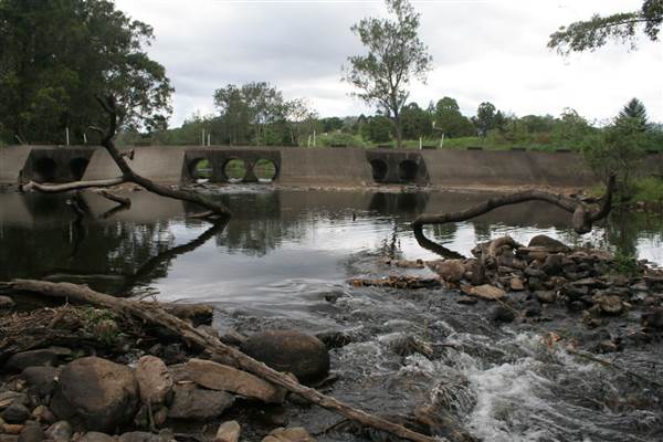 Coomera River (Upper) (21/05/2014 - Credits: Duncan Jones)