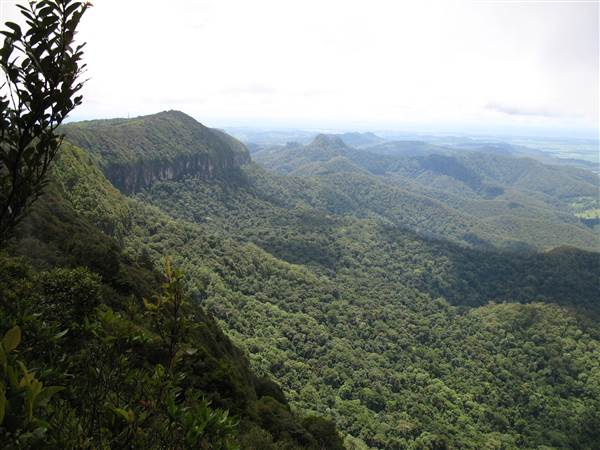 Purling Brook Falls - Springbrook National Park (21/05/2014 - Credits: Duncan Jones)