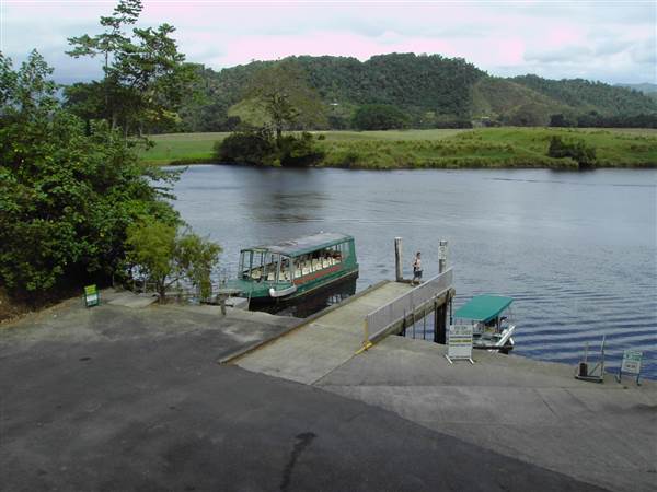 Daintree River (25/08/2014)