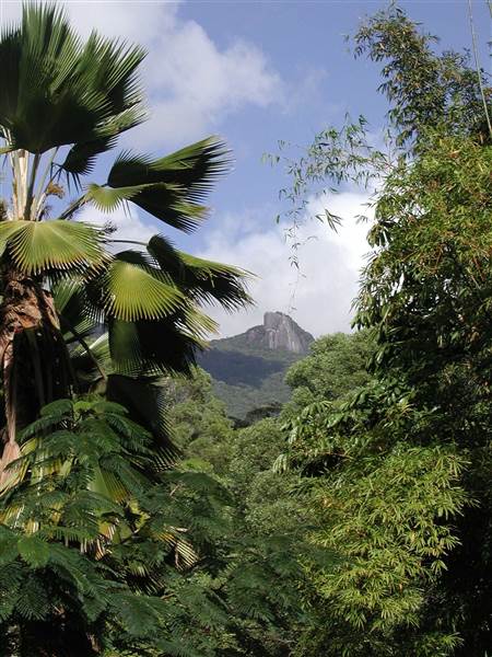 The Botanical Ark Retreat (14/10/2014)