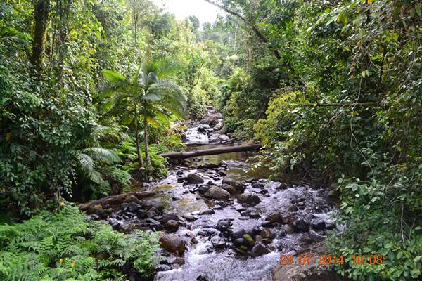 Tully Gorge National Park (18/08/2014)