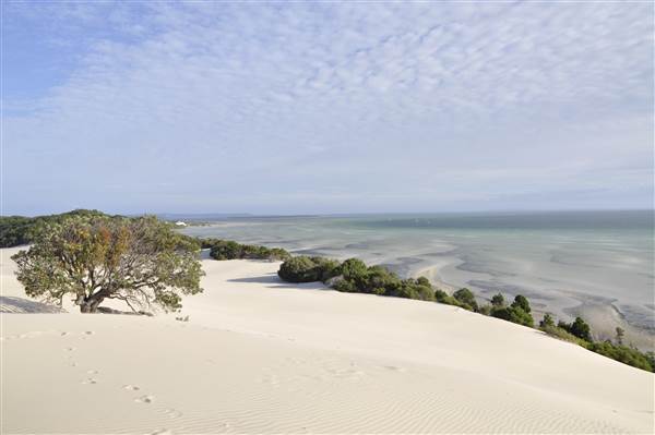 Mulgumpin (Moreton Island) - Big Sand Hills (11/04/2015 - Credits: Angus Ledgerwood)