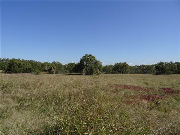 Fort Lytton National Park - General (5/06/2015)