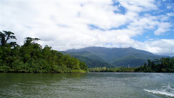 Mulgrave River (Cairns Region) (25/06/2015)